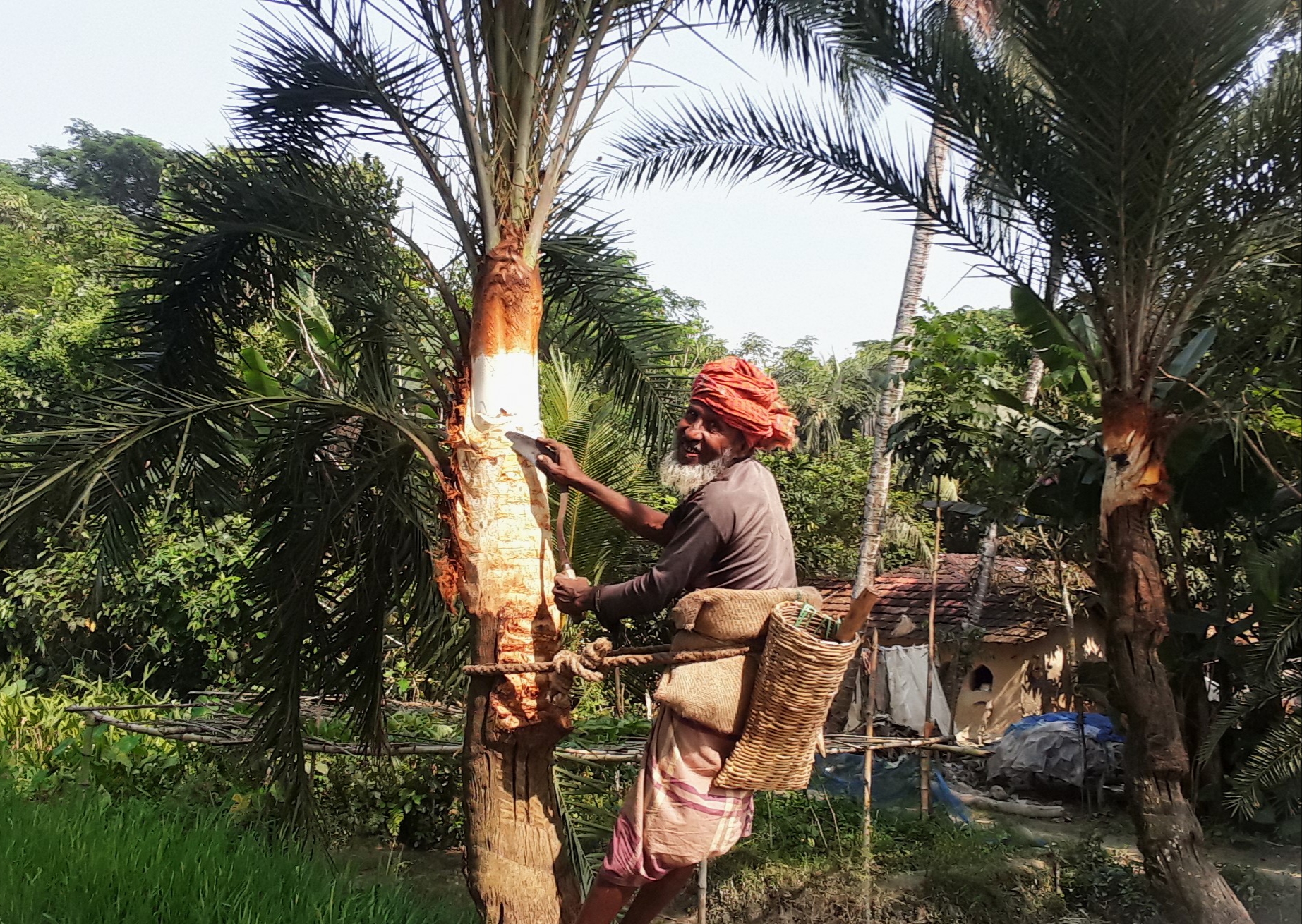 কেশবপুরে খেজুর রসের সন্ধানে ব্যস্ত সময় পার করেছেন গাছিরা